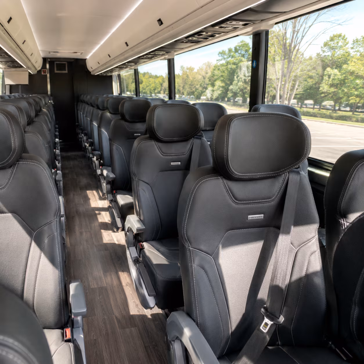find transportation for your next birthday 1