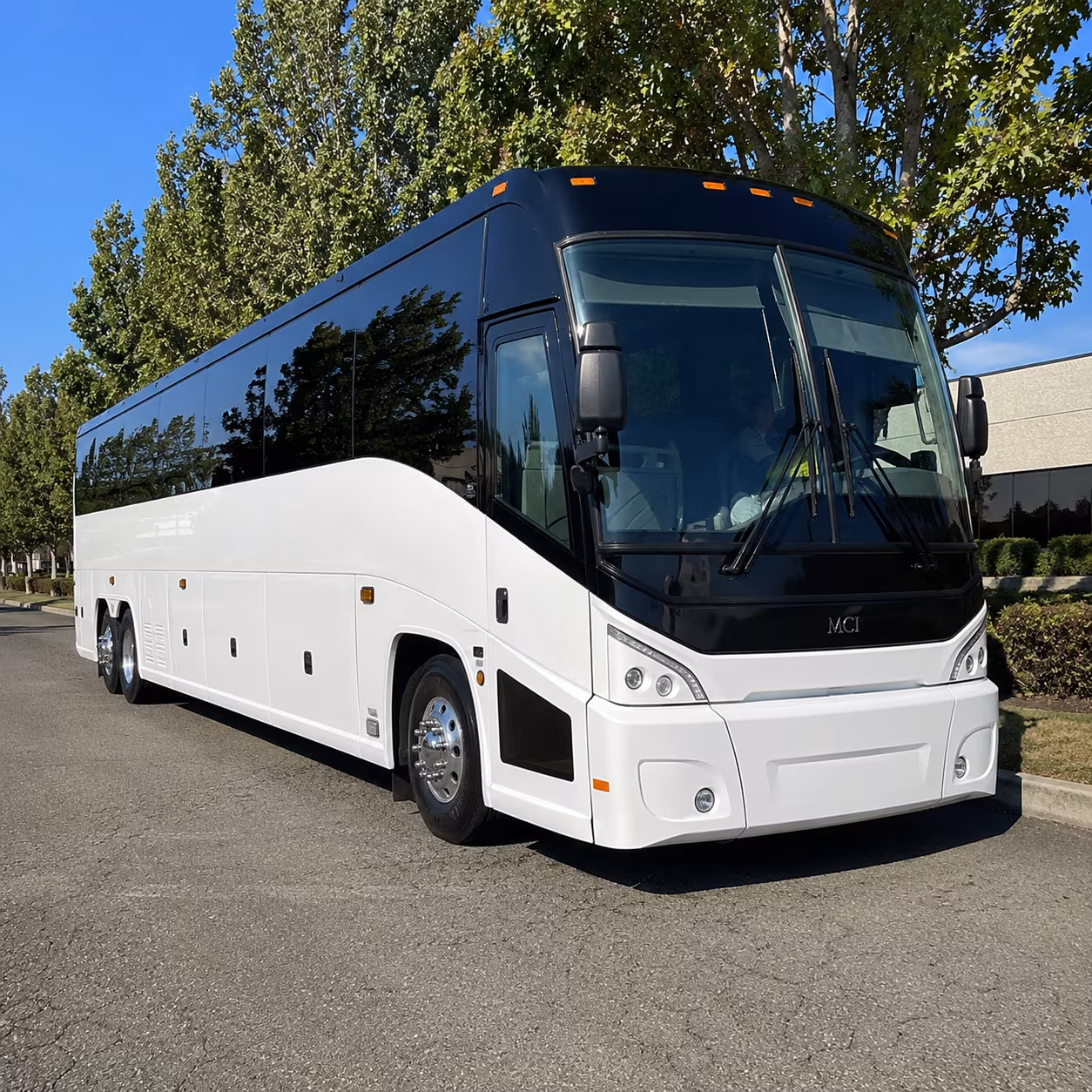 ogden 50 passenger charter bus
