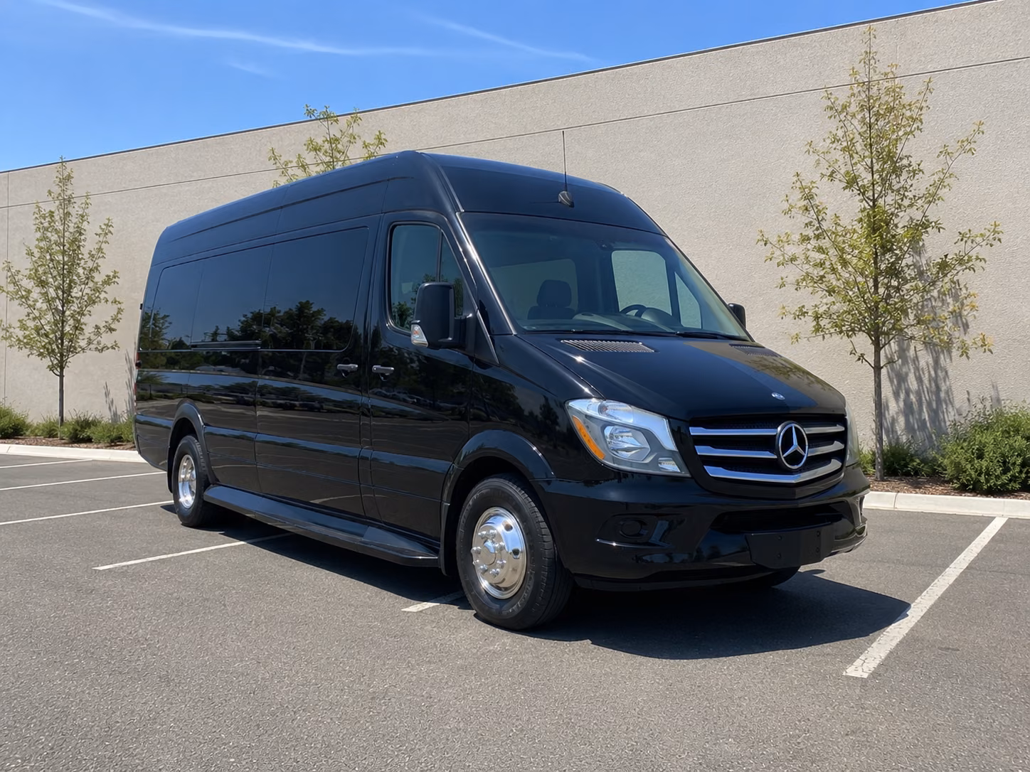 ogden sprinter van with driver